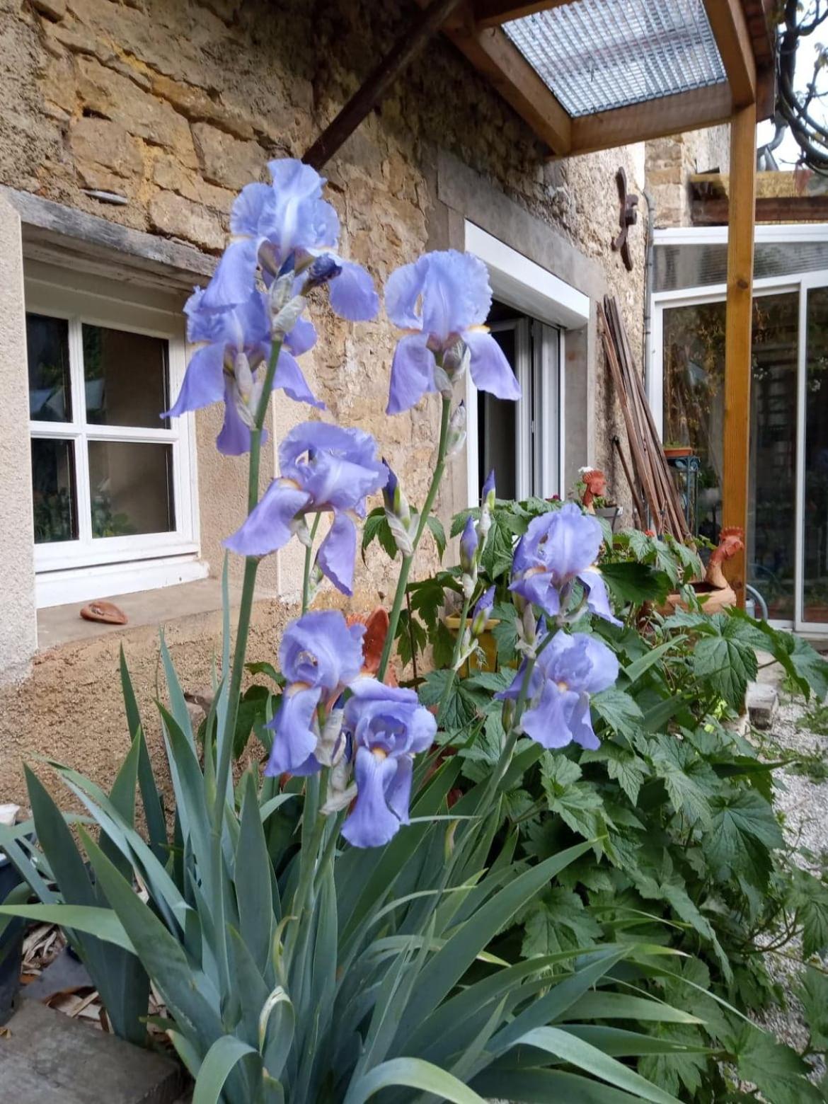 Gite Meuble 6 Personnes 2 Etoiles Haute Cote D'Or Proche Des Merveilles Touristiques Saint-Marc-sur-Seine 外观 照片